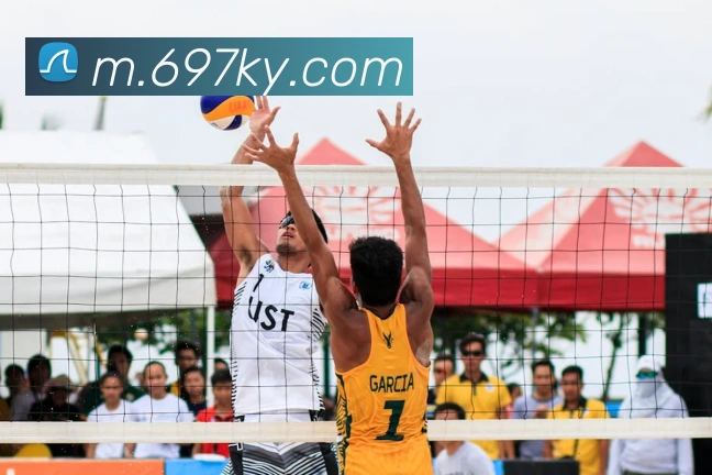 开元棋牌官网入口发展历程